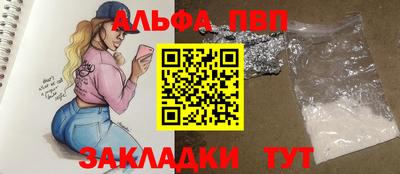 стафф Гатчина
