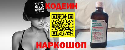 стафф Гатчина