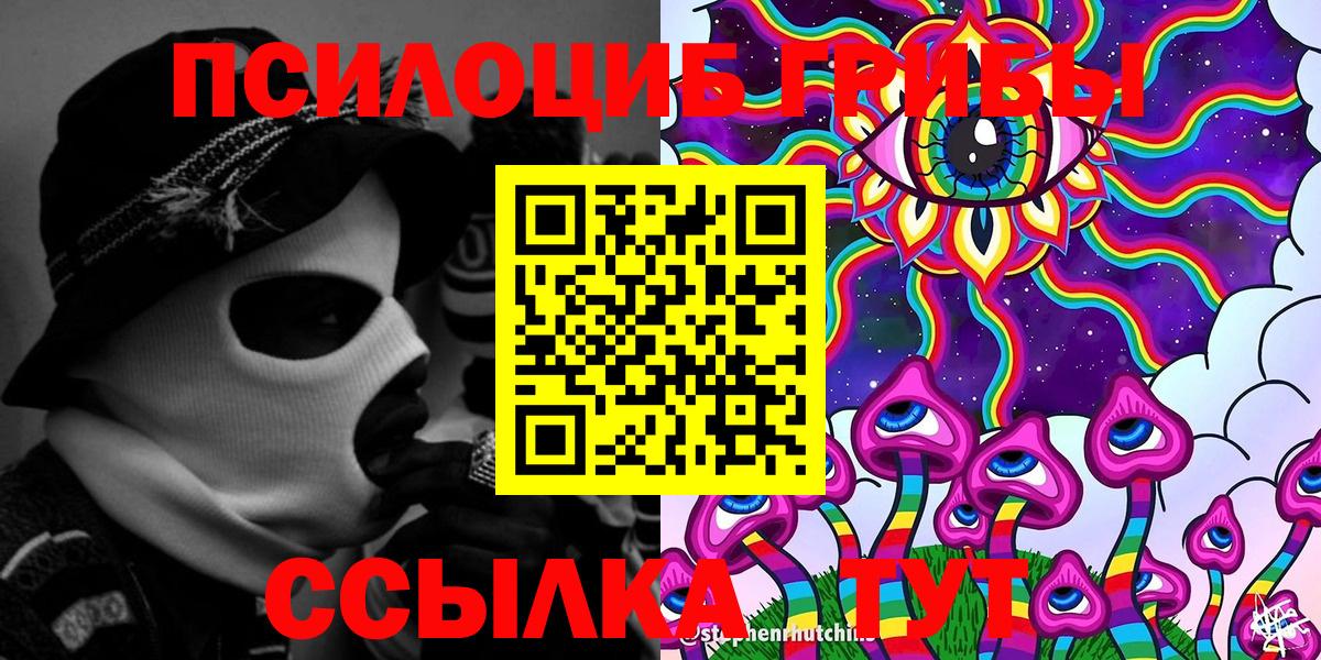 Галлюциногенные грибы Psilocybine cubensis Балаково