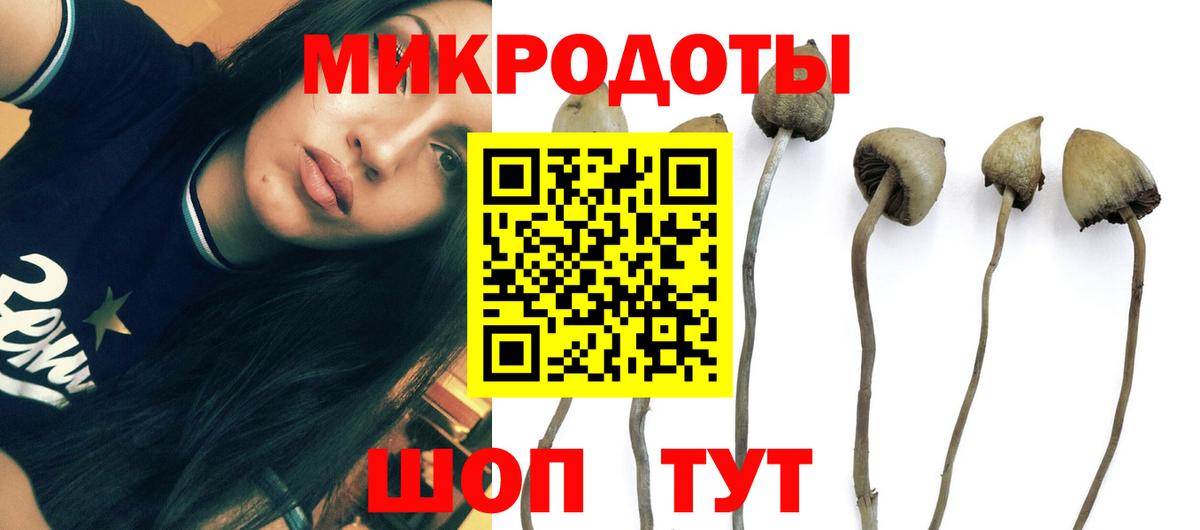 Псилоцибиновые грибы Psilocybine cubensis  Вход с VPN  Балаково 